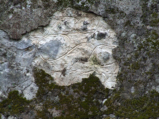 8-02-13-Olympos-51-s.jpg