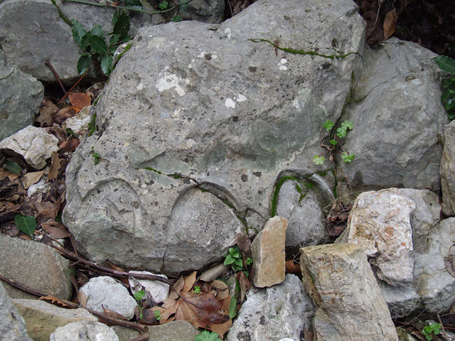 8-02-13-Olympos-75-s.jpg