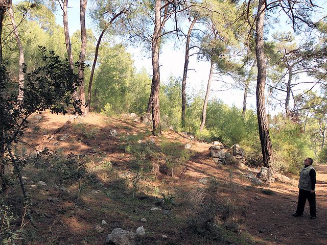 11-01-01-Phaselis-012-s.jpg - Irgendwo oberhalb der Nekropole an der Nordbucht sollte es eine alte Treppe geben