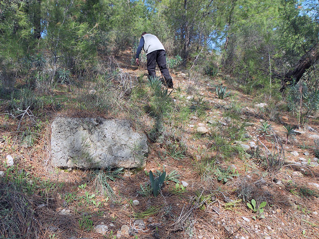 11-01-01-Phaselis-018-s.jpg - und immer weiter bergauf