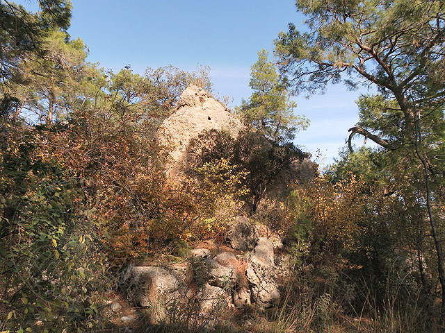 11-01-01-Phaselis-027-s.jpg - Weiter nach rechts, in Richtung Meer kamen wir an diese Steinformation, sieht fast aus wie ein Dachfirst