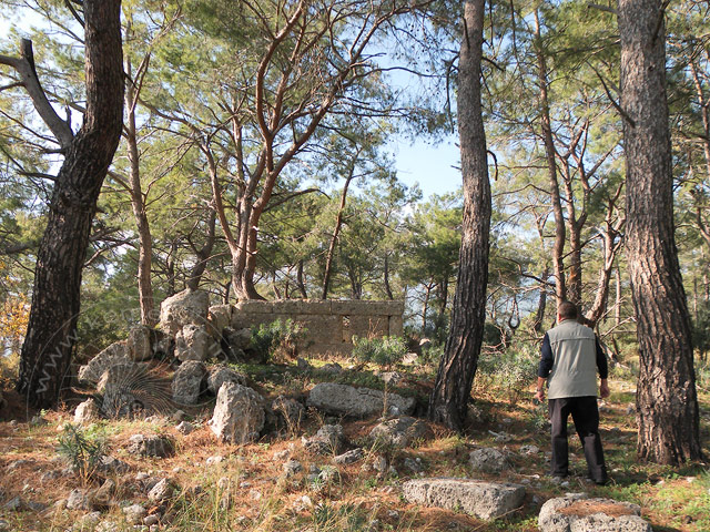 11-01-01-Phaselis-063-s.jpg - Zwischen hohen Kiefern ein trutziges Gebäude