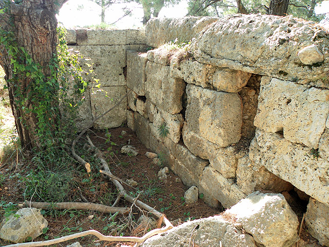 11-01-01-Phaselis-068-s.jpg - Eine Kiefer steht gleich neben der Tür innen im Raum