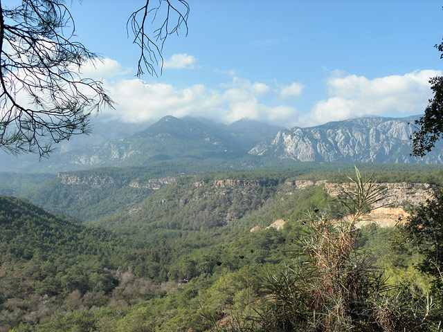 11-01-01-Phaselis-108-s.jpg - Blick in Richtung Tahtali (hinter dem Zweig in der Mitte), deutlich zu erkennen die "Riftzone", jene steile Kante, die einst durch Erdbeben gebildet wurde