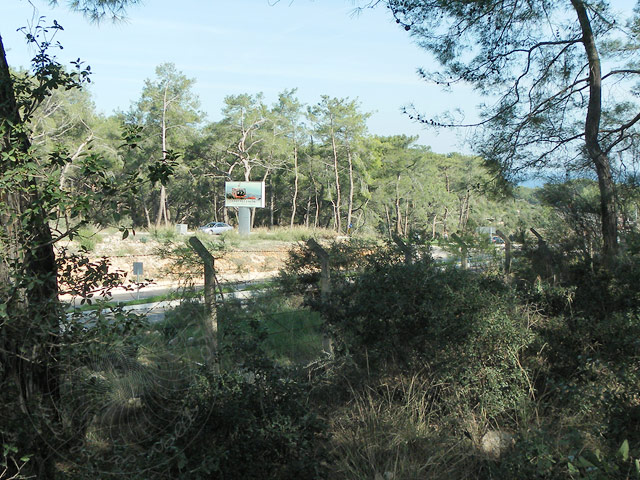 11-01-01-Phaselis-128-s.jpg - Wir erreichen die D-400 genau gegenüber der Einfahrt zur Seilbahn, allerdings verhindert ein Stacheldrahtzaun, dass man hier von der Straße nach Phaselis kommen kann