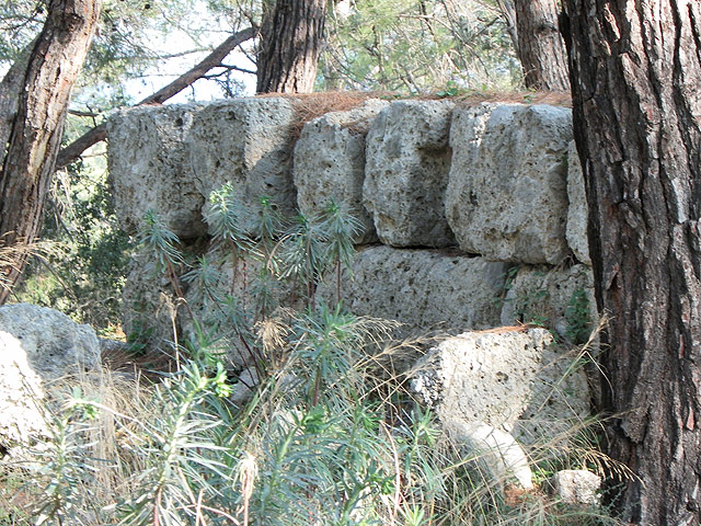 11-01-01-Phaselis-143-s.jpg - Mauerreste zwischen den Bäumen weisen uns den Weg