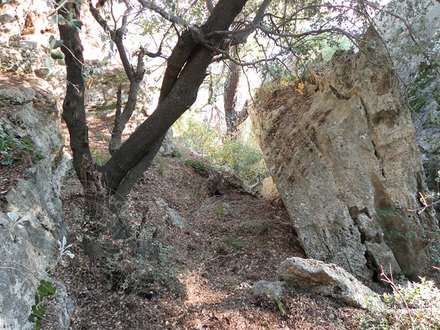 11-01-01-Phaselis-150-s.jpg - hier rechts abbiegen