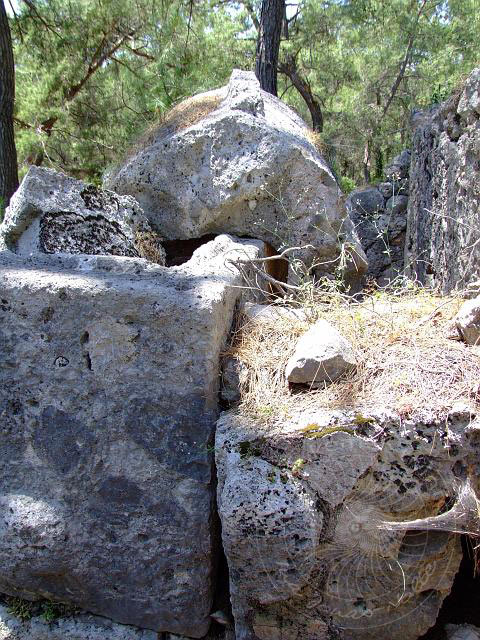 9-05-24-Phaselis-016-s.jpg