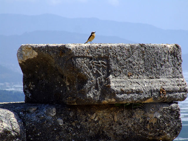 9-04-23-Rodiapolis-159.jpg