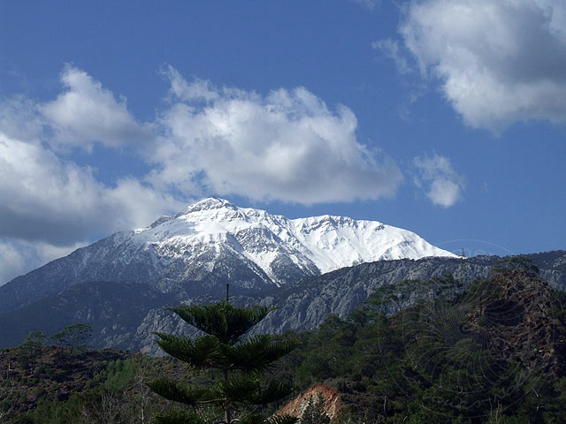 9-02-21-Tahtali-Camyuva-22-s.jpg