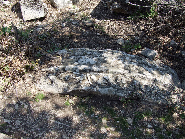 7-04-09-Termessos-112.jpg