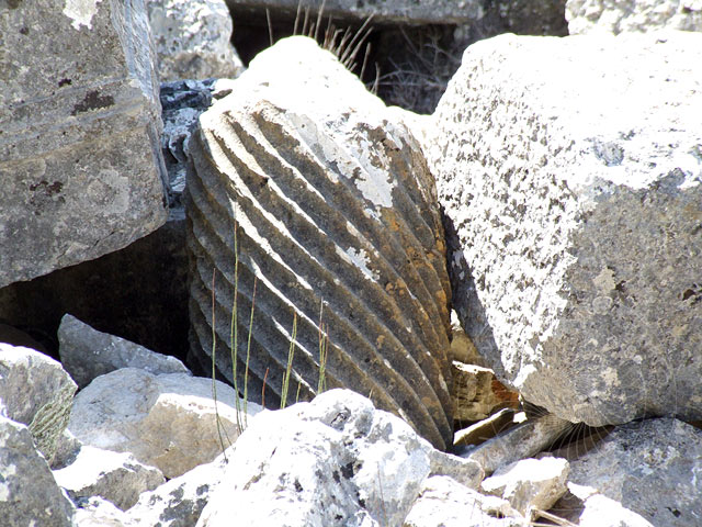 7-04-09-Termessos-171.jpg