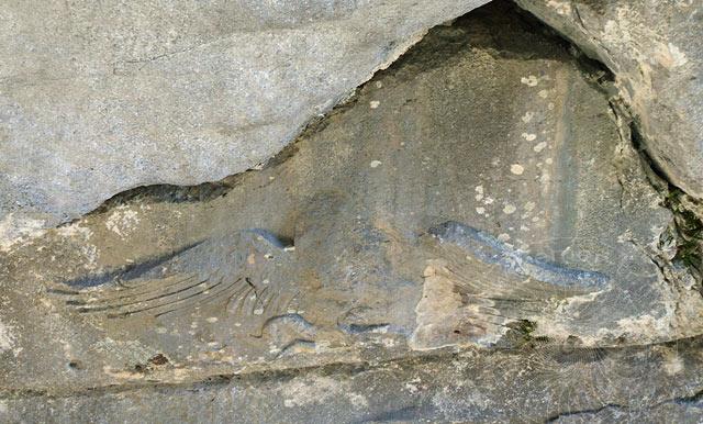 7-04-09-Termessos-260.jpg