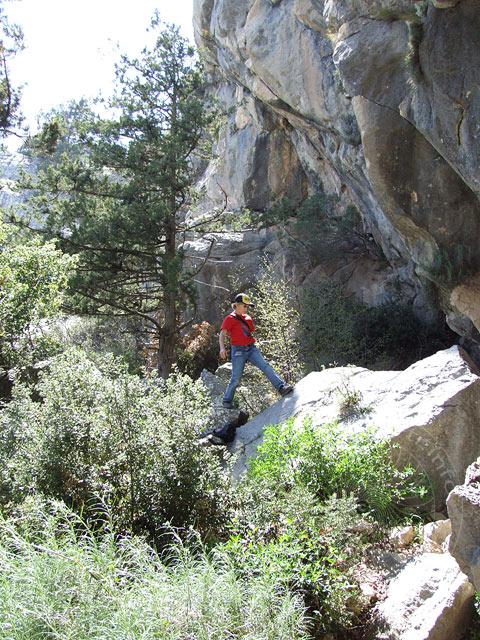 7-04-09-Termessos-273.jpg