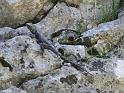 7-04-09-Termessos-384