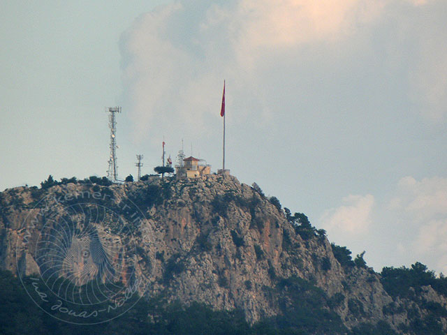 10-12-31-Forelle-36-s.jpg - Unsere Wetterfahne auf dem Calis Tepe zeigte Windstille