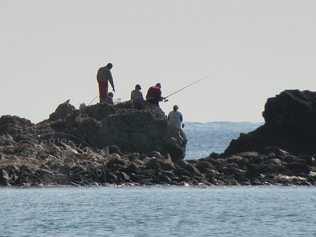 11-01-19-Phaselis-22-s.jpg - Angler in Phaselis