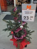 11-01-18-Migros-2-s