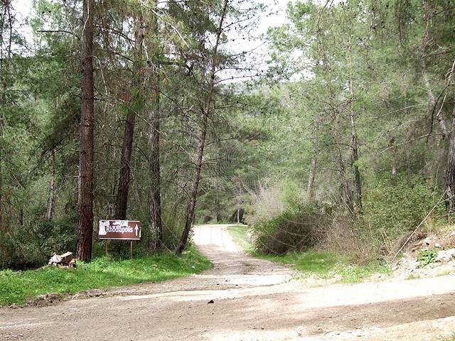 8-03-23-Rhodiapolis-002-s.jpg - Wegweiser im Wald, nun noch etwa 3 km
