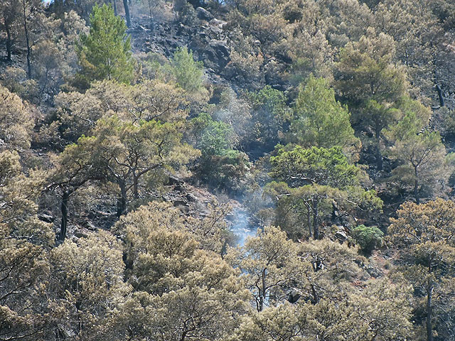 14-06-30-Adrasan-Feuer-008.jpg