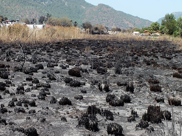 14-06-30-Adrasan-Feuer-080.jpg