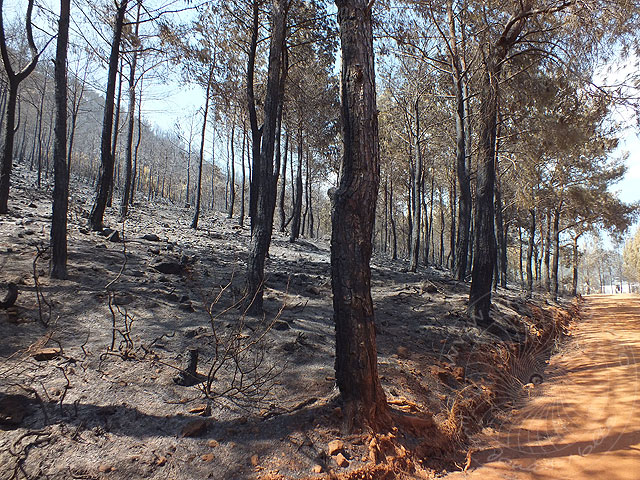 14-06-30-Adrasan-Feuer-089.jpg