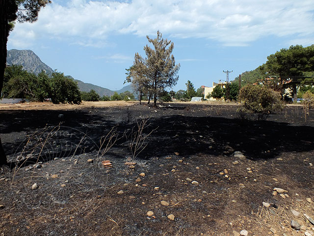 14-06-30-Adrasan-Feuer-117.jpg