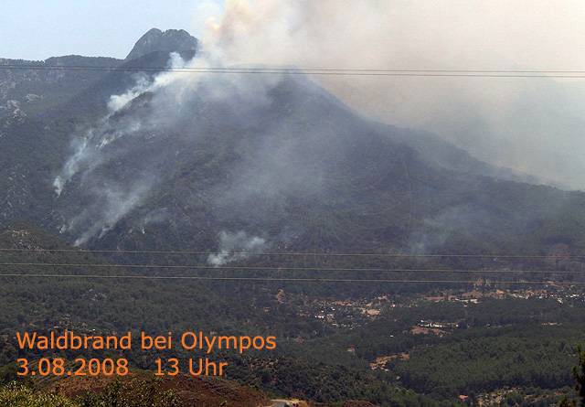 8-08-03-1-Waldbrand-Olympos-45.jpg - Rechts unten sieht man die Pensionen und Häuser an der Straße nach Adrasan, links kam das Feuer immer näher an die Baumhaus Pensionen bei Olympos