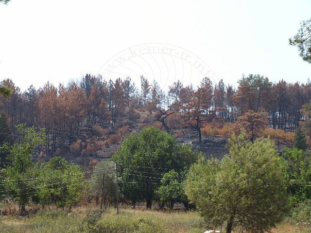 8-08-21-Olympos-006.JPG - Hier konnte das Feuer vor den Gärten aufgehalten werden