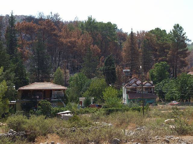 8-08-21-Olympos-010.JPG - Das Feuer fraß sich dicht an diese Häuser