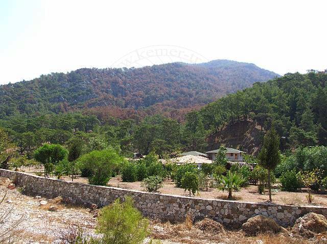 8-08-21-Olympos-016.JPG - Im Vordergrund das jetzt im Sommer völlig trockene Flussbett