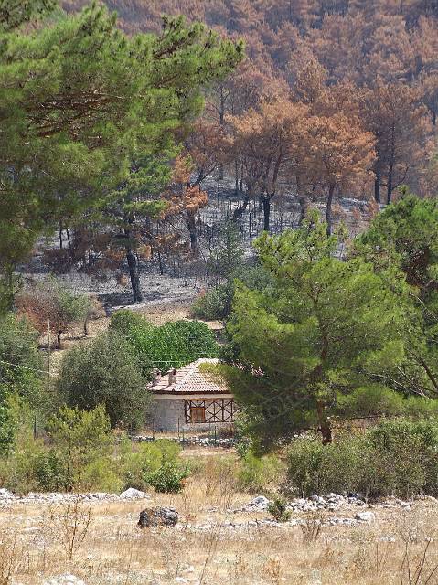 8-08-21-Olympos-084.JPG - Auch hier konnte das Feuer kurz vor dem Haus gestoppt werden