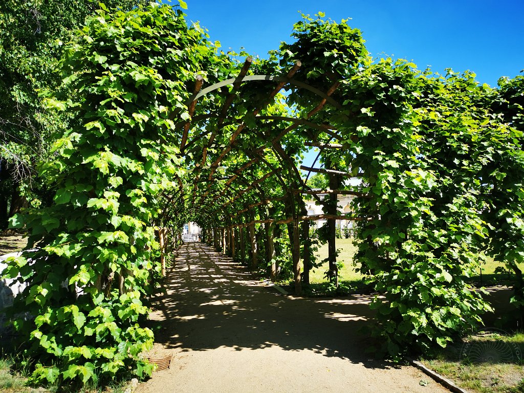 20-06-03-Sanssouci-103901-m.jpg