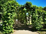 20-06-03-Sanssouci-103901-m